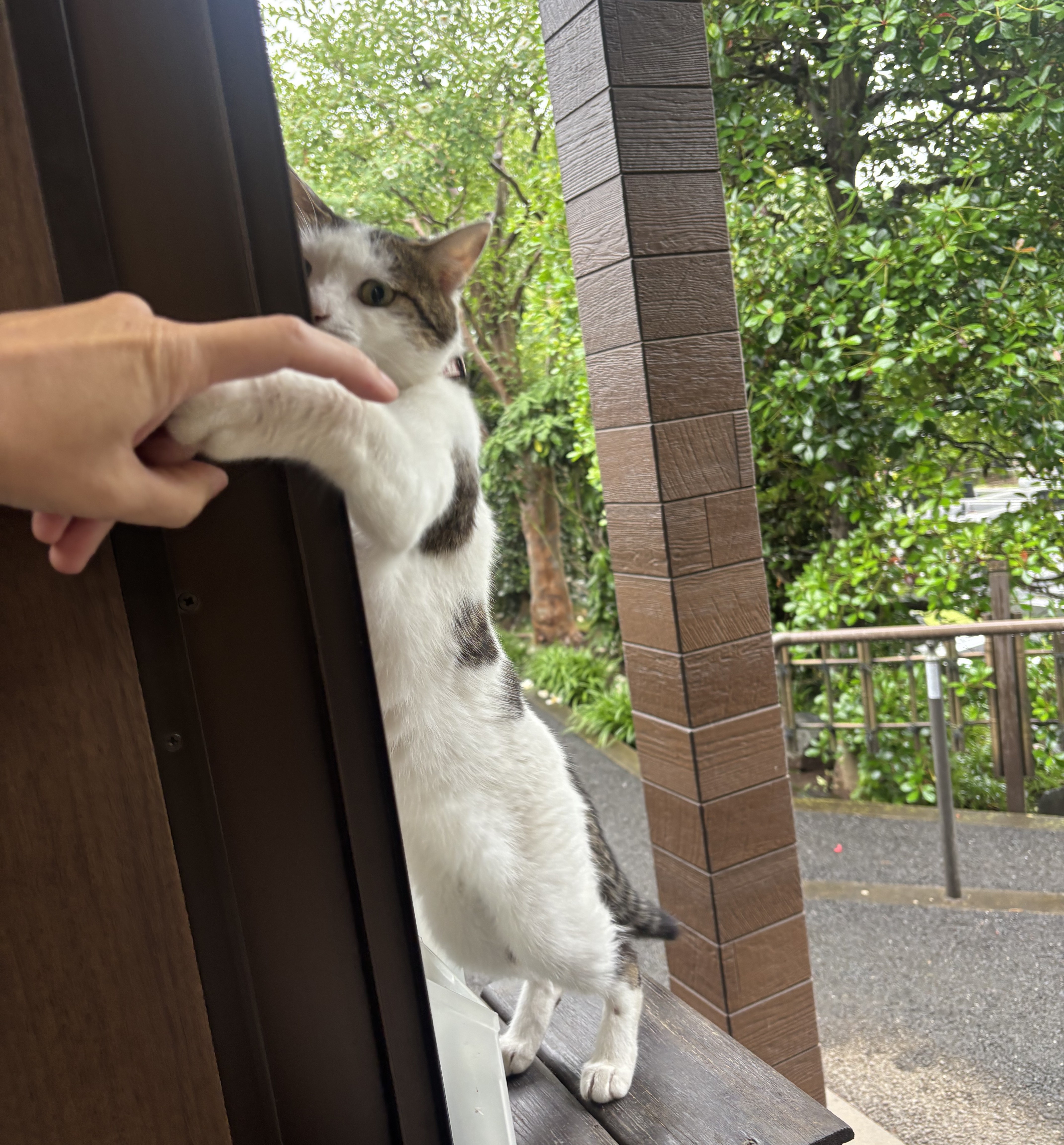 IMG_9599.jpeg
