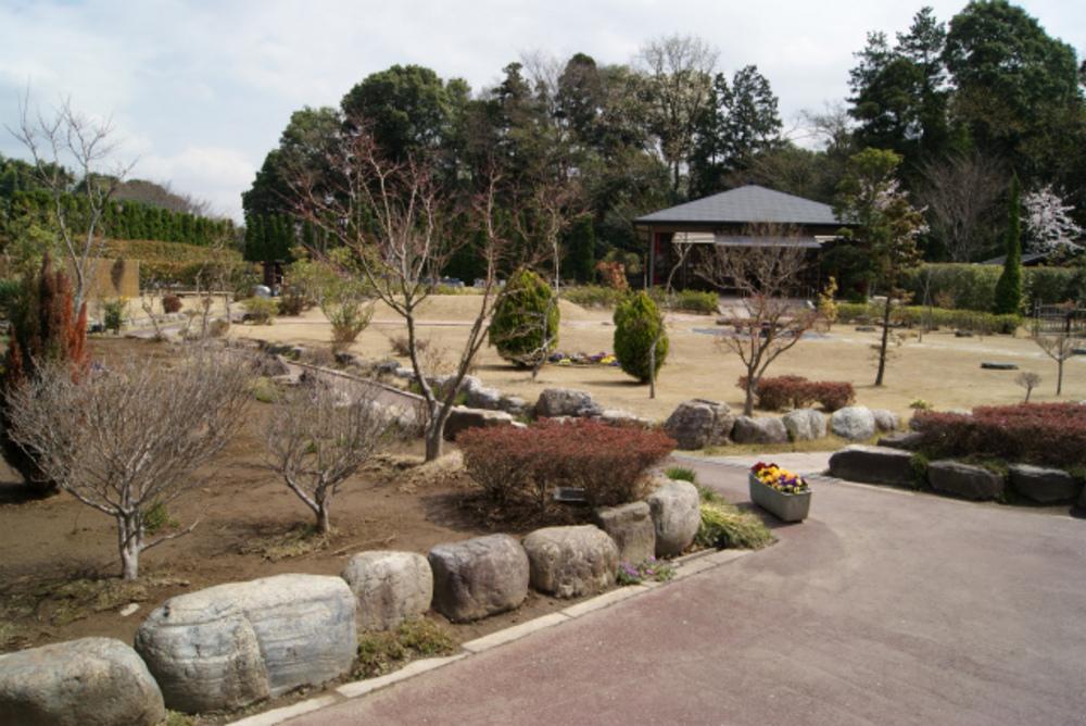 春先の風景