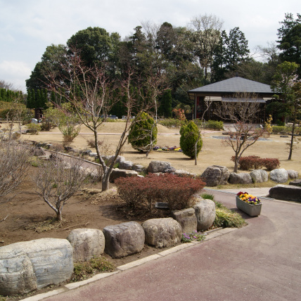 春先の風景