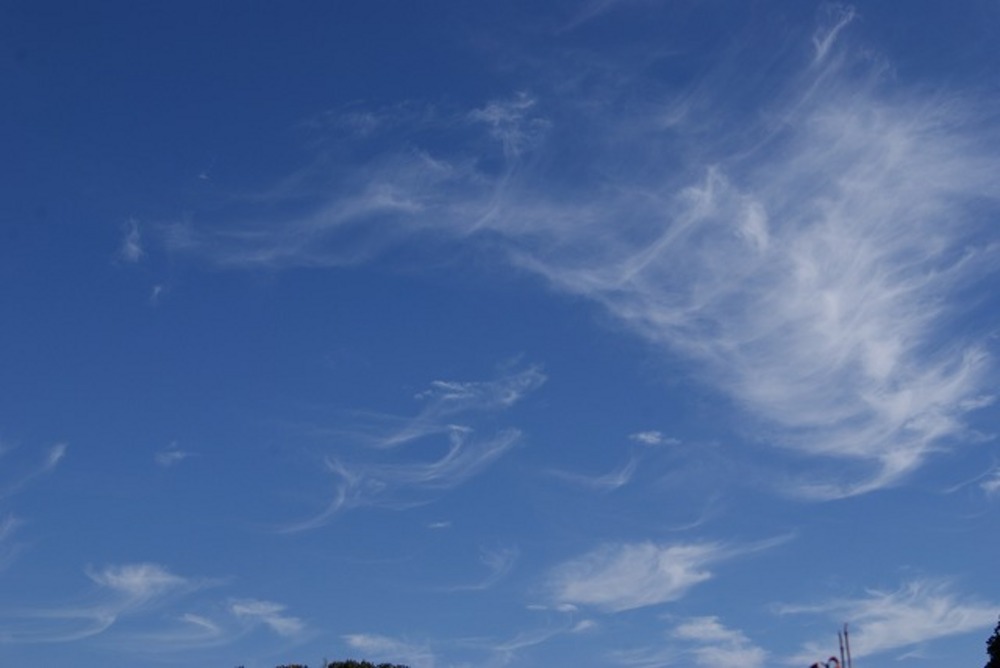 秋の空