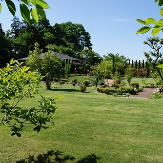 夏の庭園1