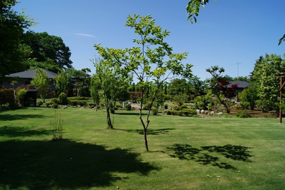 夏の庭園2