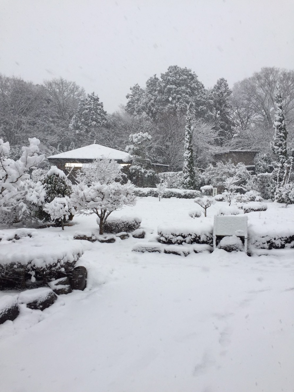 初雪【2018年1月】