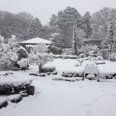 初雪【2018年1月】